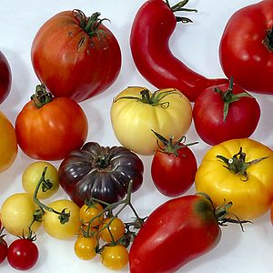 Fotoğraf Sorun Küresel, Çözüm Yerel