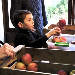 Fotoğraf Sorun Küresel, Çözüm Yerel