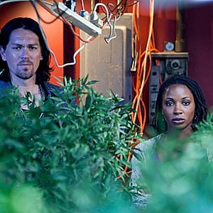 Fotoğraf Shanola Hampton