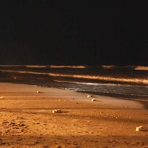 Fotoğraf Omri Fuhrer