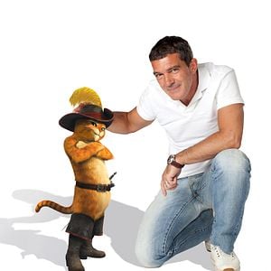 Fotoğraf Çizmeli Kedi