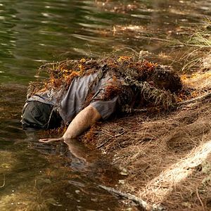 Fotoğraf The Glades