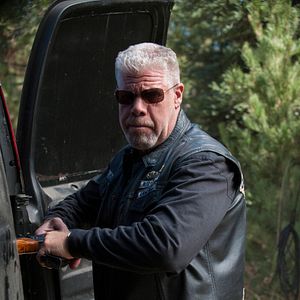 Fotoğraf Ron Perlman