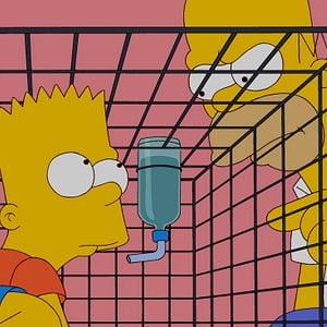 Fotoğraf The Simpsons