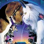 Fotoğraf Kediler ve Köpekler