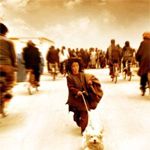 Fotoğraf Şaşkın Köpekler