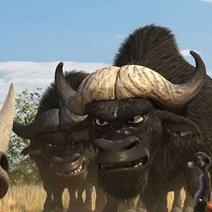 Fotoğraf Holger Tappe