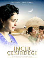 Fotoğraf İncir Çekirdeği