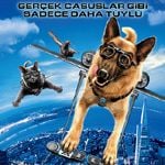 Fotoğraf Kediler ve Köpekler Kitty Galore’un İntikamı