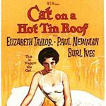 Fotoğraf Kızgın Damdaki Kedi