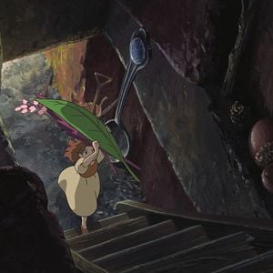 Fotoğraf Aşırıcılar