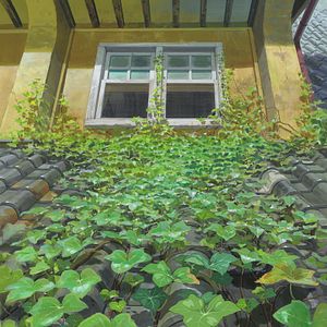 Fotoğraf Aşırıcılar