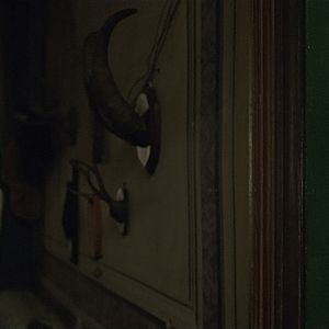 Fotoğraf Valérie Bonneton