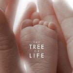 Fotoğraf Hayat Ağacı