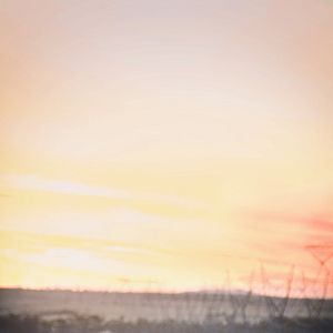 Fotoğraf Robin McLeavy