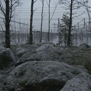 Fotoğraf Michael Madsen (II)