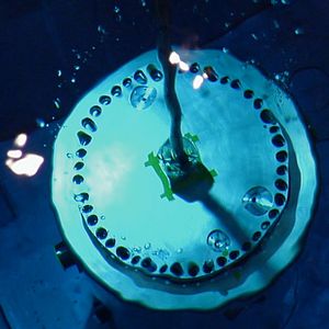 Fotoğraf Michael Madsen (II)