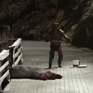 Fotoğraf Troll Avı