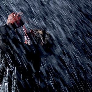 Fotoğraf Ölüm Çiftliği