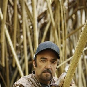 Fotoğraf Daniel Zacapa