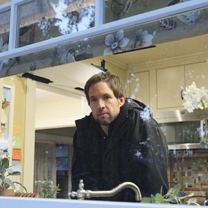 Fotoğraf The Protector