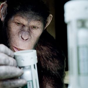 Fotoğraf Maymunlar Cehennemi: Başlangıç