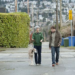 Fotoğraf Şansa Bak