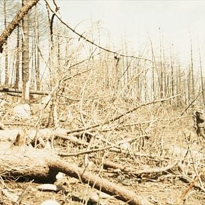 Fotoğraf Tim Fehlbaum