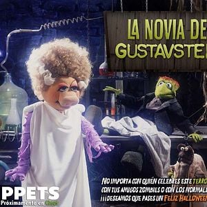 Fotoğraf The Muppets