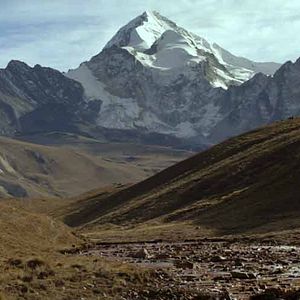 Fotoğraf Blackthorn