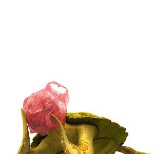 Fotoğraf Sevimli Balık Pupi