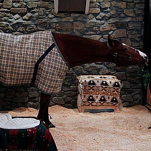 Fotoğraf 2 Broke Girls