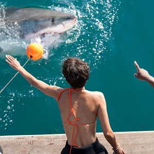 Fotoğraf John Stockwell