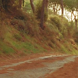 Fotoğraf Rsasa taycheh