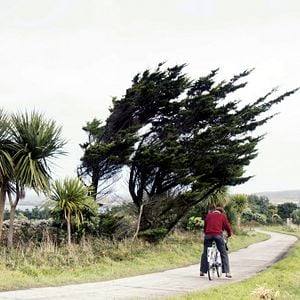Fotoğraf Archipelago