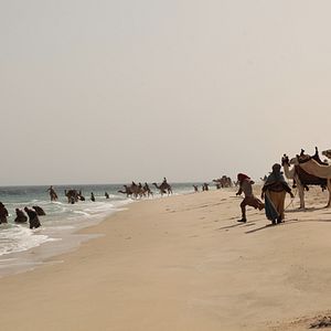 Fotoğraf Kara Altın