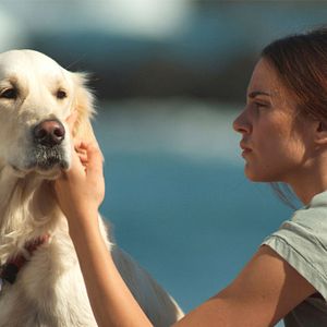 Fotoğraf Verónica Echegui