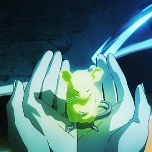 Fotoğraf Susumu Kudô