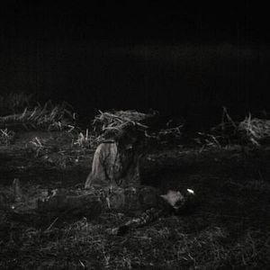 Fotoğraf Paranmanjang