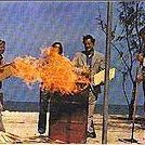 Fotoğraf Yunusların Günü