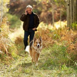 Fotoğraf Can Yoldaşım