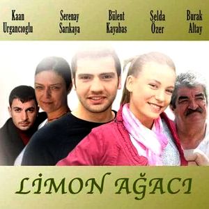Fotoğraf Limon Ağacı