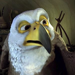 Fotoğraf Kuşlar Şehrinde Macera