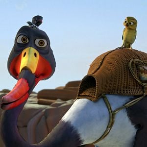 Fotoğraf Kuşlar Şehrinde Macera