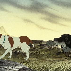 Fotoğraf The Plague Dogs