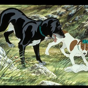 Fotoğraf The Plague Dogs