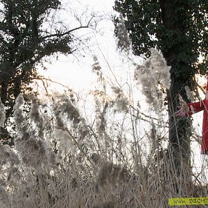 Fotoğraf Dichter und Kämpfer