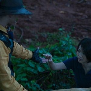 Fotoğraf Hayvanat Bahçesinden Kartpostallar