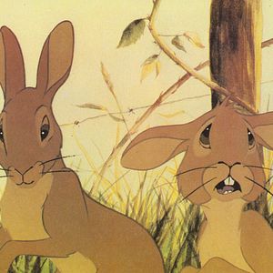 Fotoğraf Watership Down