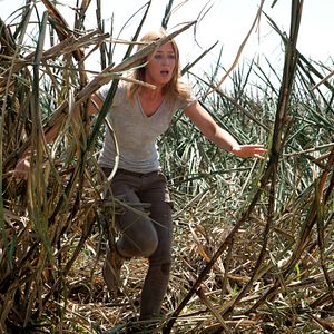 Fotoğraf Tetikçiler